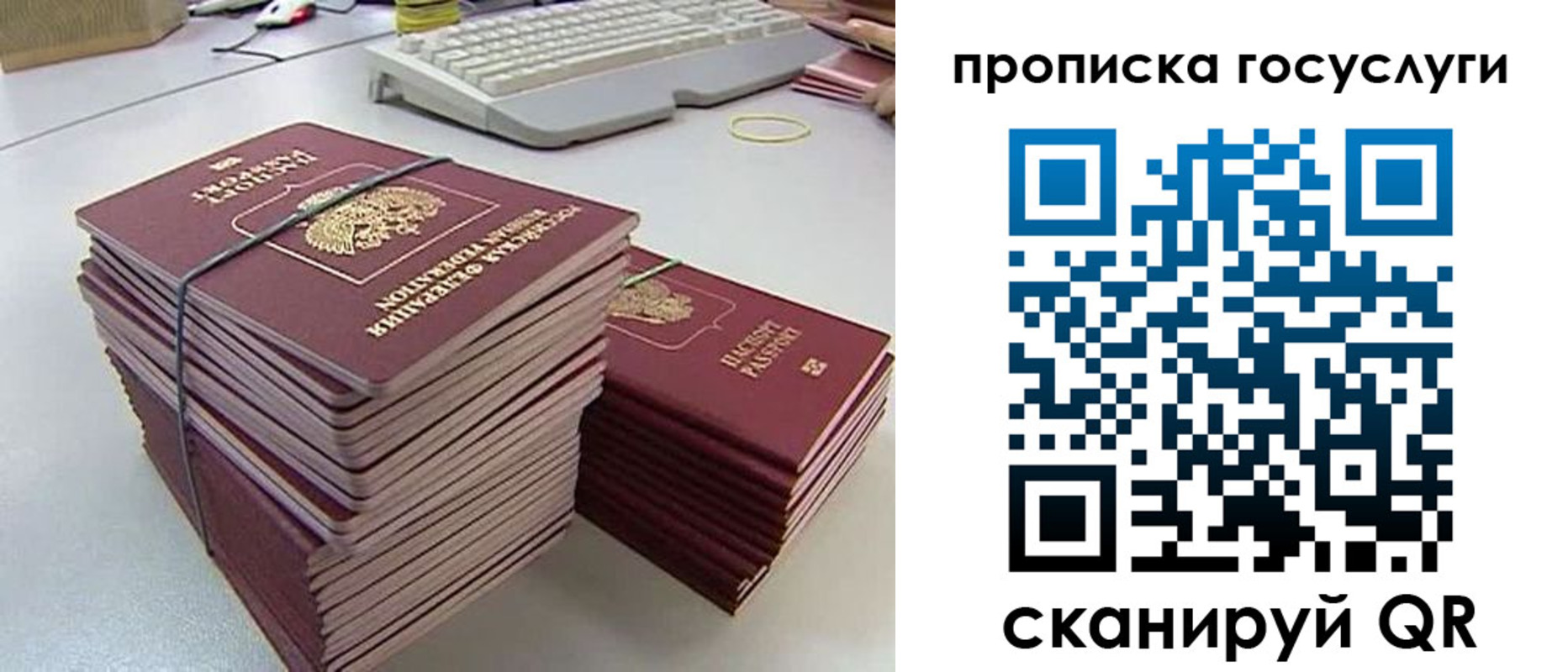 временная регистрация для школы в Волгограде
